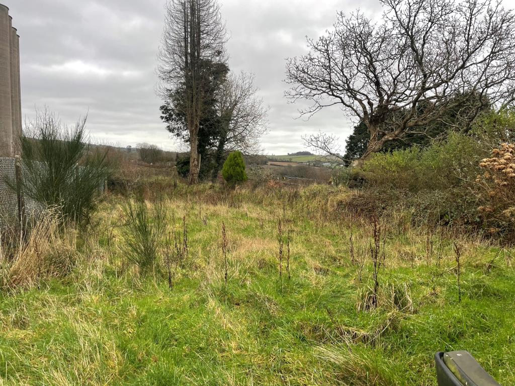 Lot: 20 - FREEHOLD LAND - Further overgrown grass area